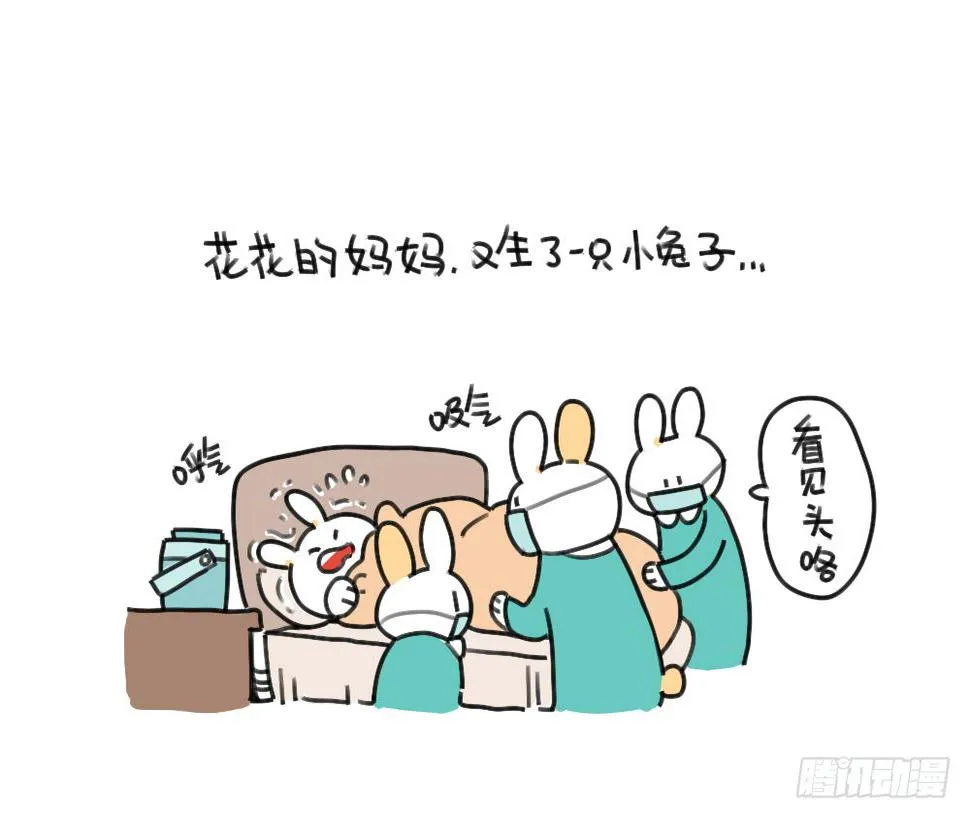 45、比小兔子更可爱的，是小小兔 第1页