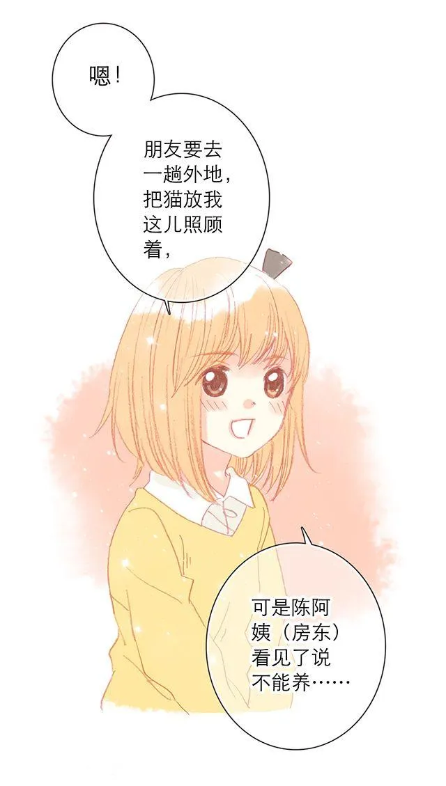 可爱的它／她／他 第2页