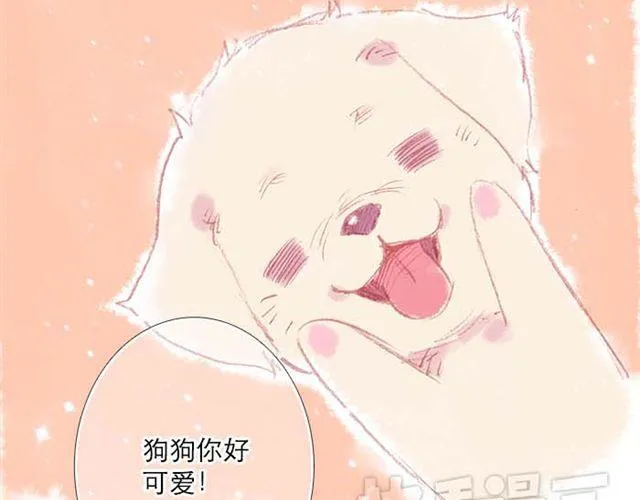 被霸道的男生喜欢是什么样的体验（上） 第11页