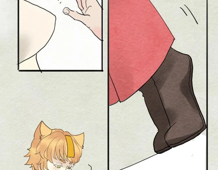 第17话 最好看的猫 第16页
