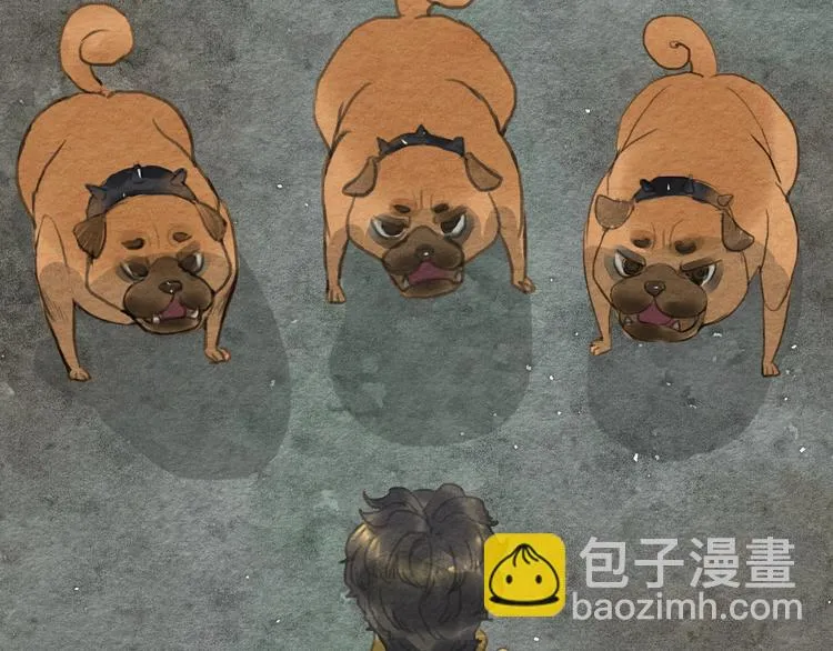 第11话 沈若白 第55页