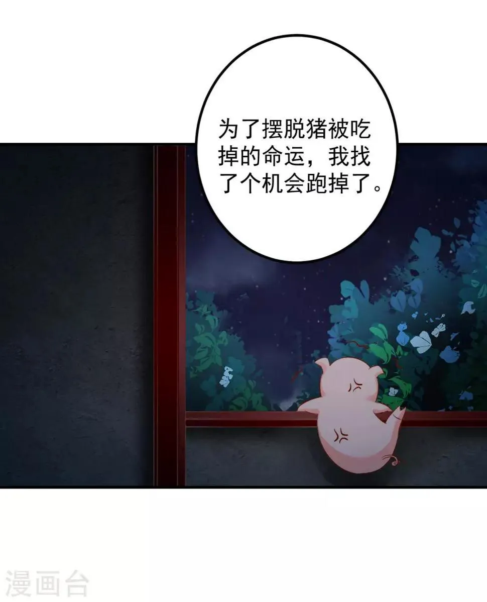 第87话 我竟然还没有一只猪重要？！ 第25页