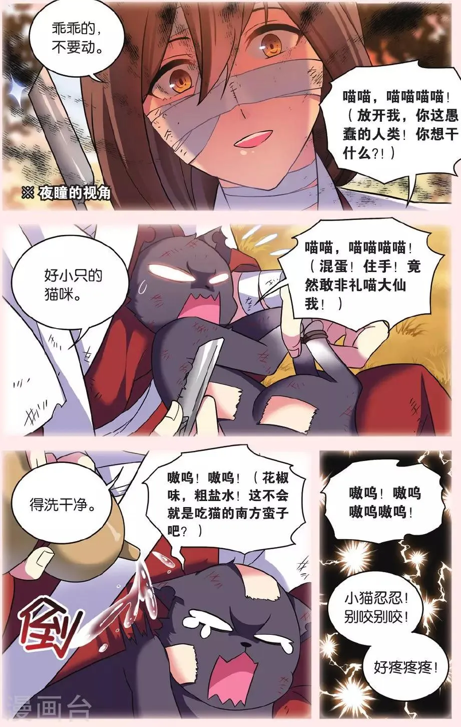 第28话 别扭猫和忠犬狗二 第12页