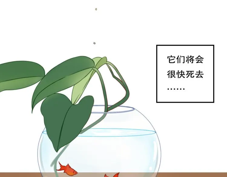 序01 第2页