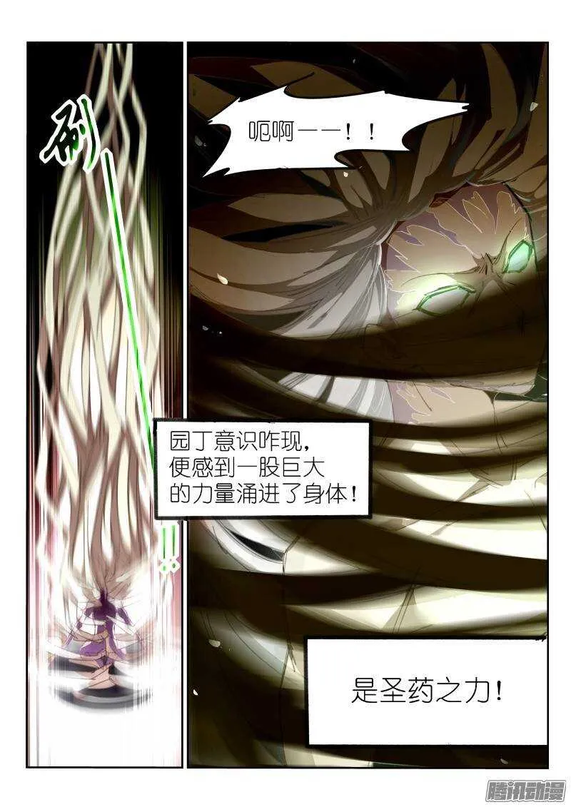 216-跟白芷合体！ 第2页
