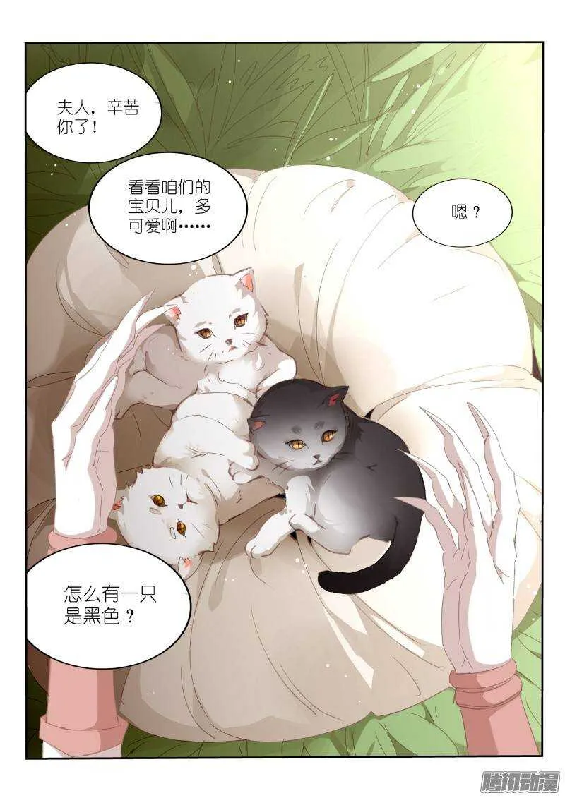 234-黑猫 第2页