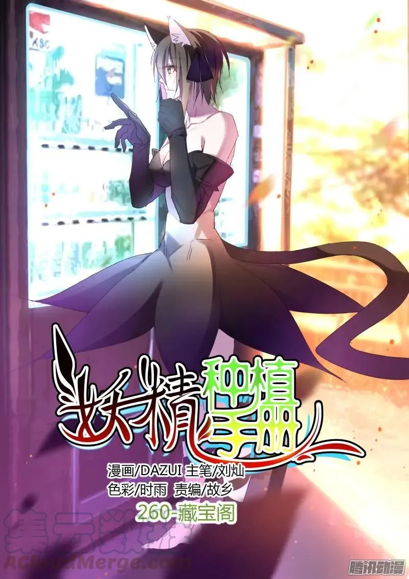 260-藏宝阁 第1页