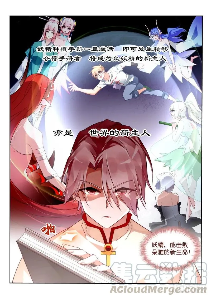 347-批发妖精手册 第11页
