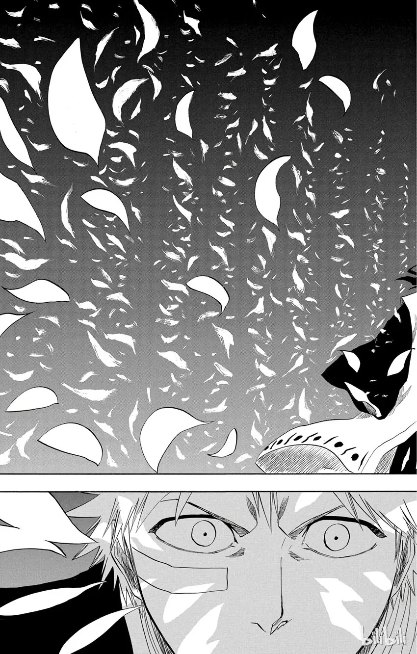 161 第13页