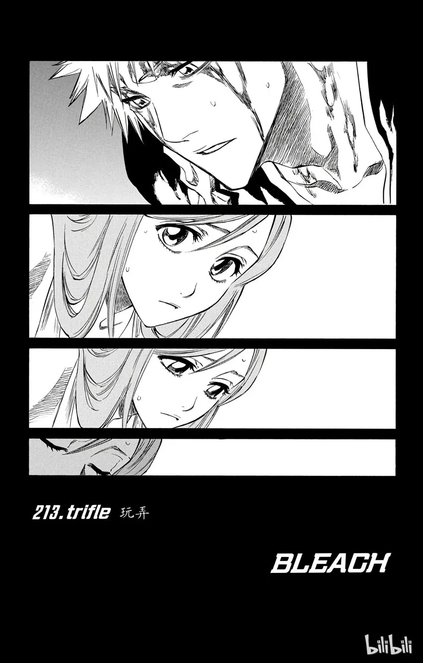 213 第8页