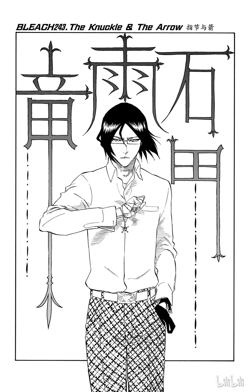 243 第11页