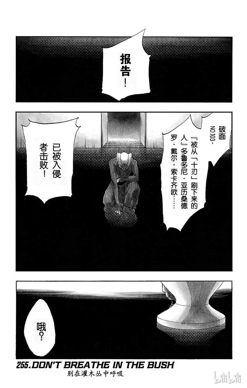 255 第1页