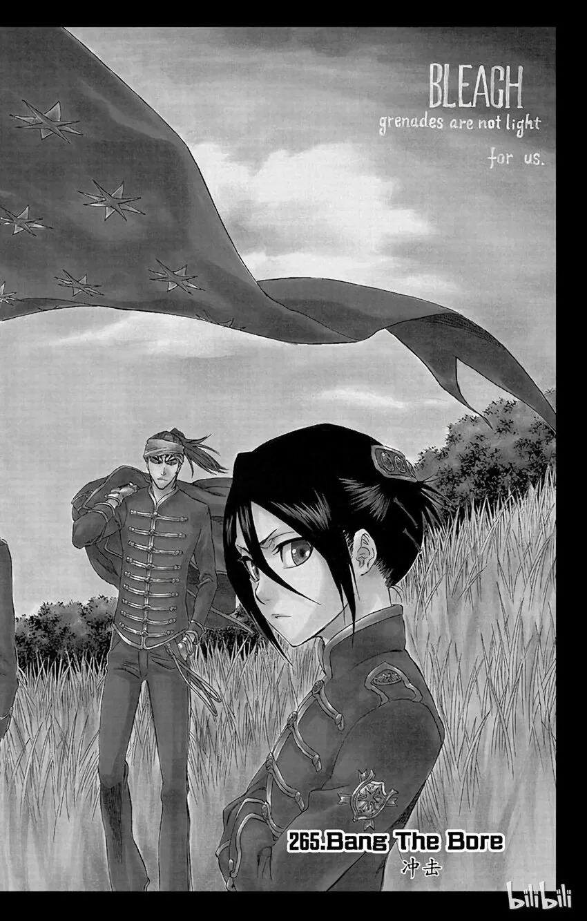 265 第2页