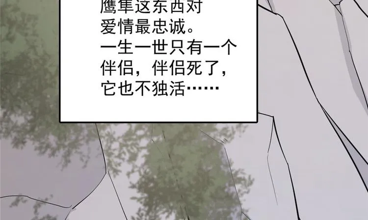 第42话 第66页