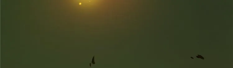第162话 第24页