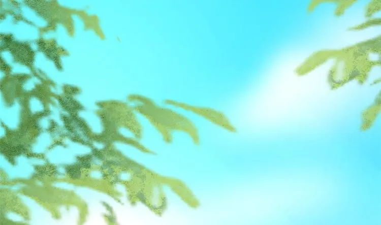 第216话 第6页