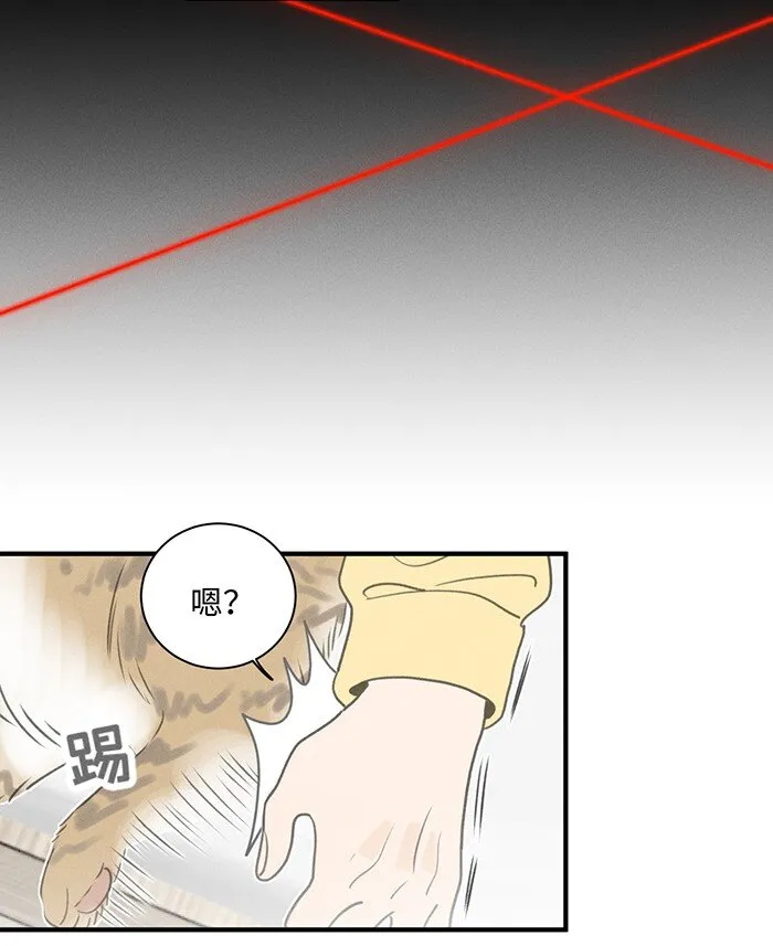 52 女朋友？ 第22页