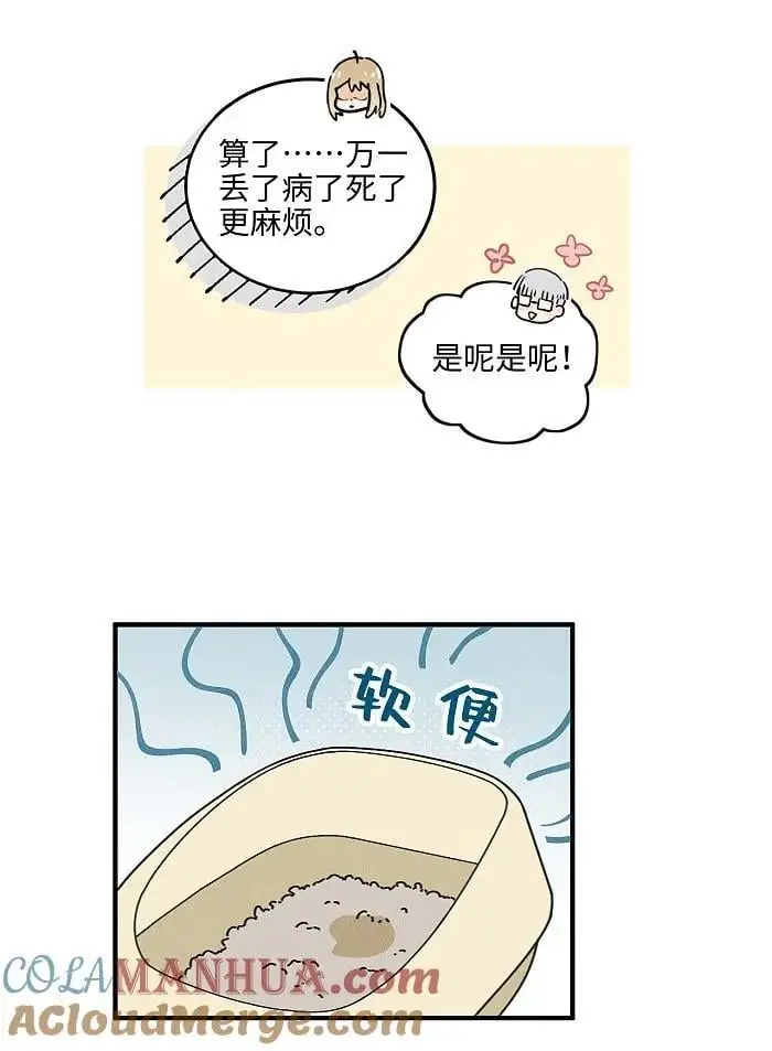 番外 裴心养猫记 第7页
