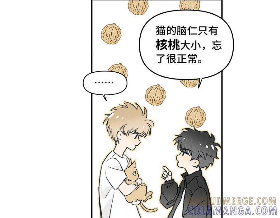 第86话 好期待。 第40页