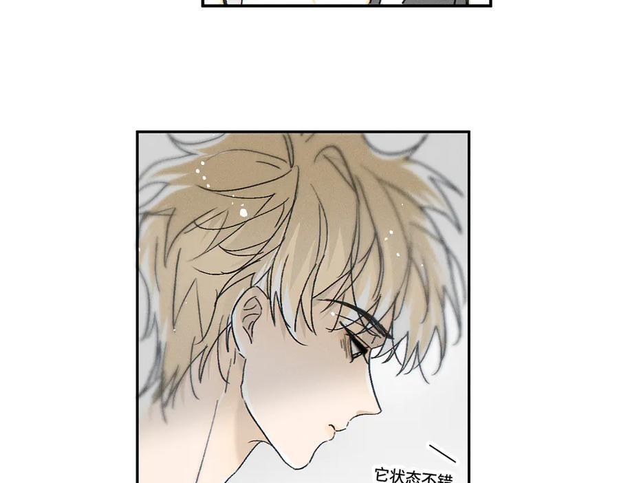 第86话 好期待。 第41页