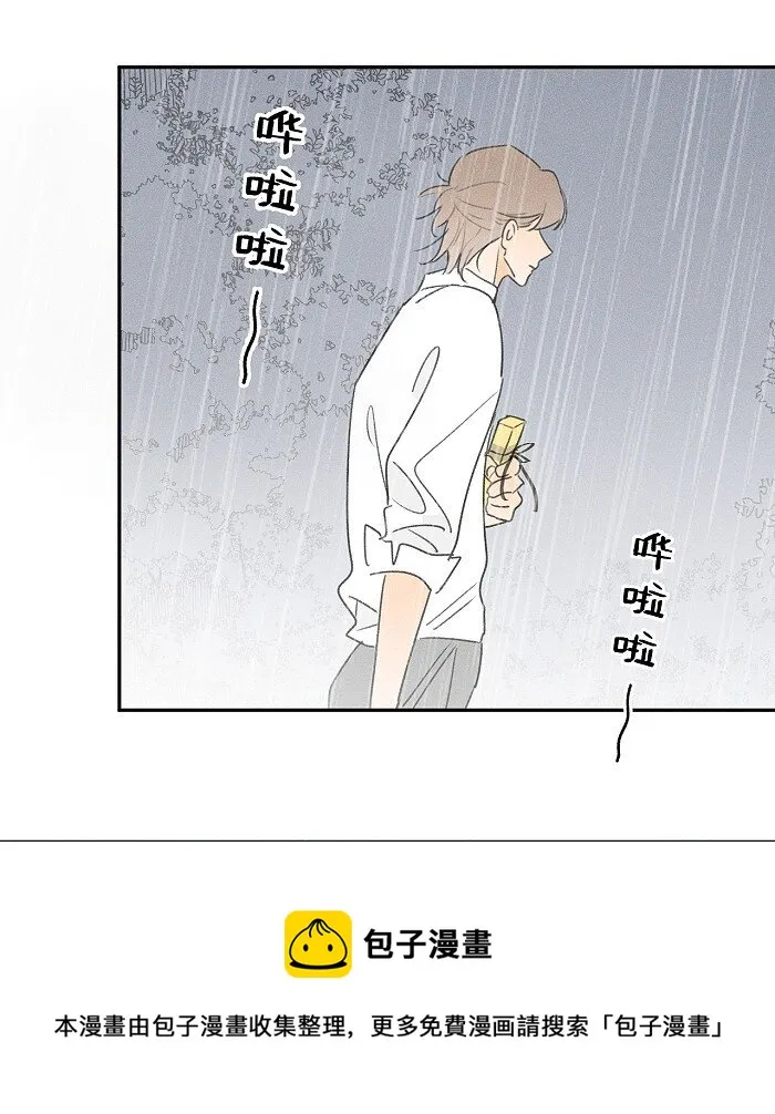 41 家里白菜被拱了！ 第13页