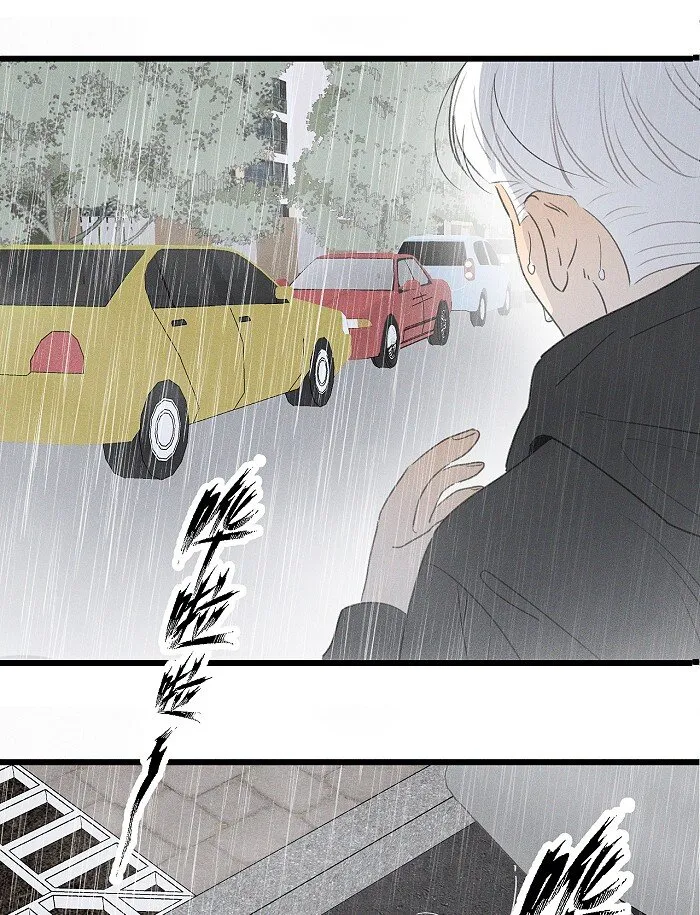 40 暴雨中的生日会 第25页