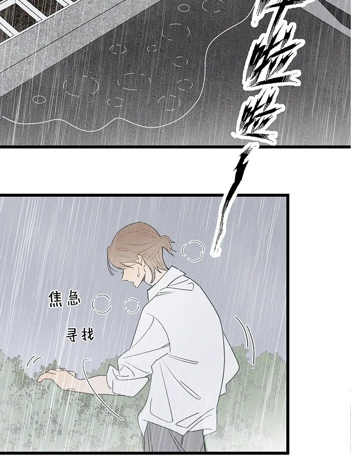 40 暴雨中的生日会 第26页