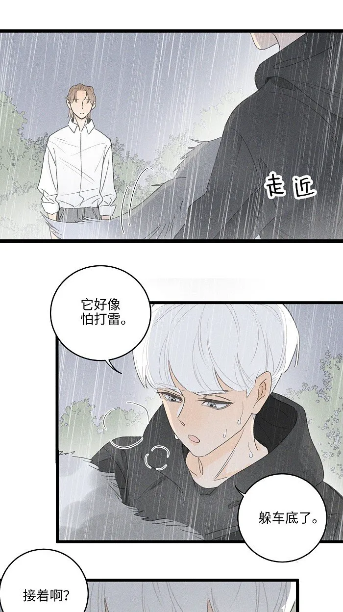 40 暴雨中的生日会 第29页