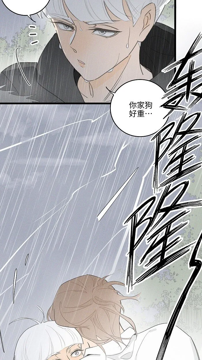 40 暴雨中的生日会 第30页