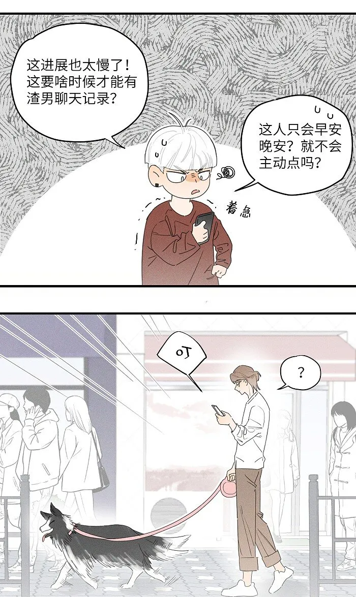 36 篮球赛 第4页