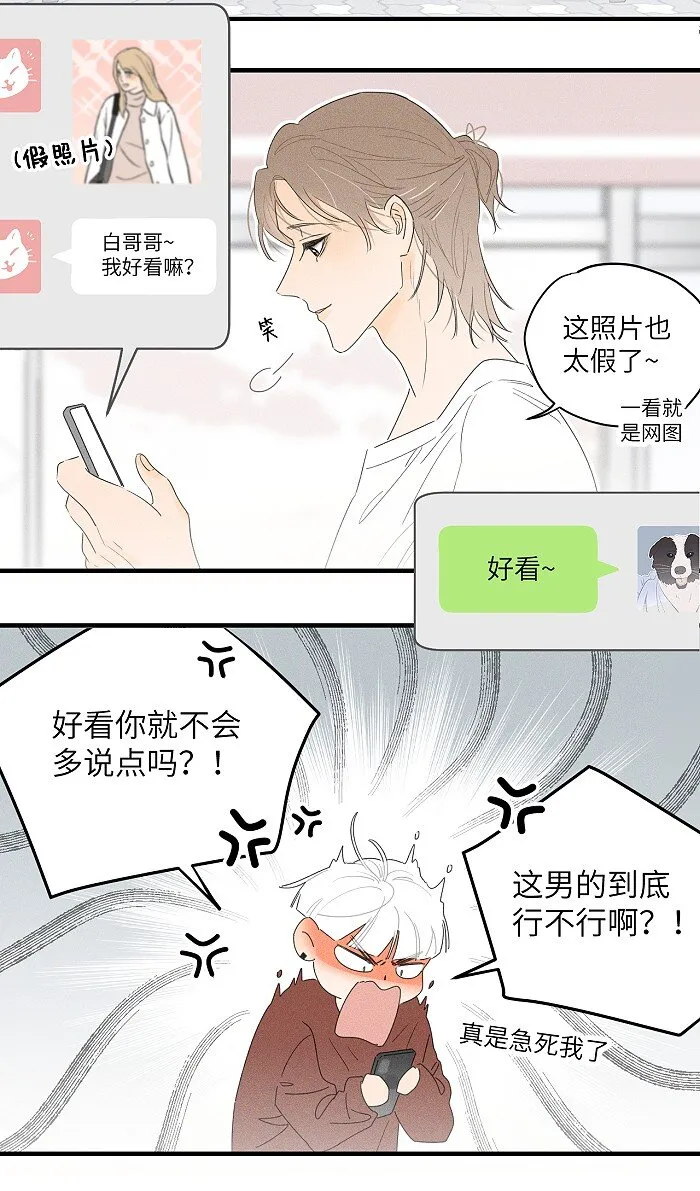 36 篮球赛 第5页