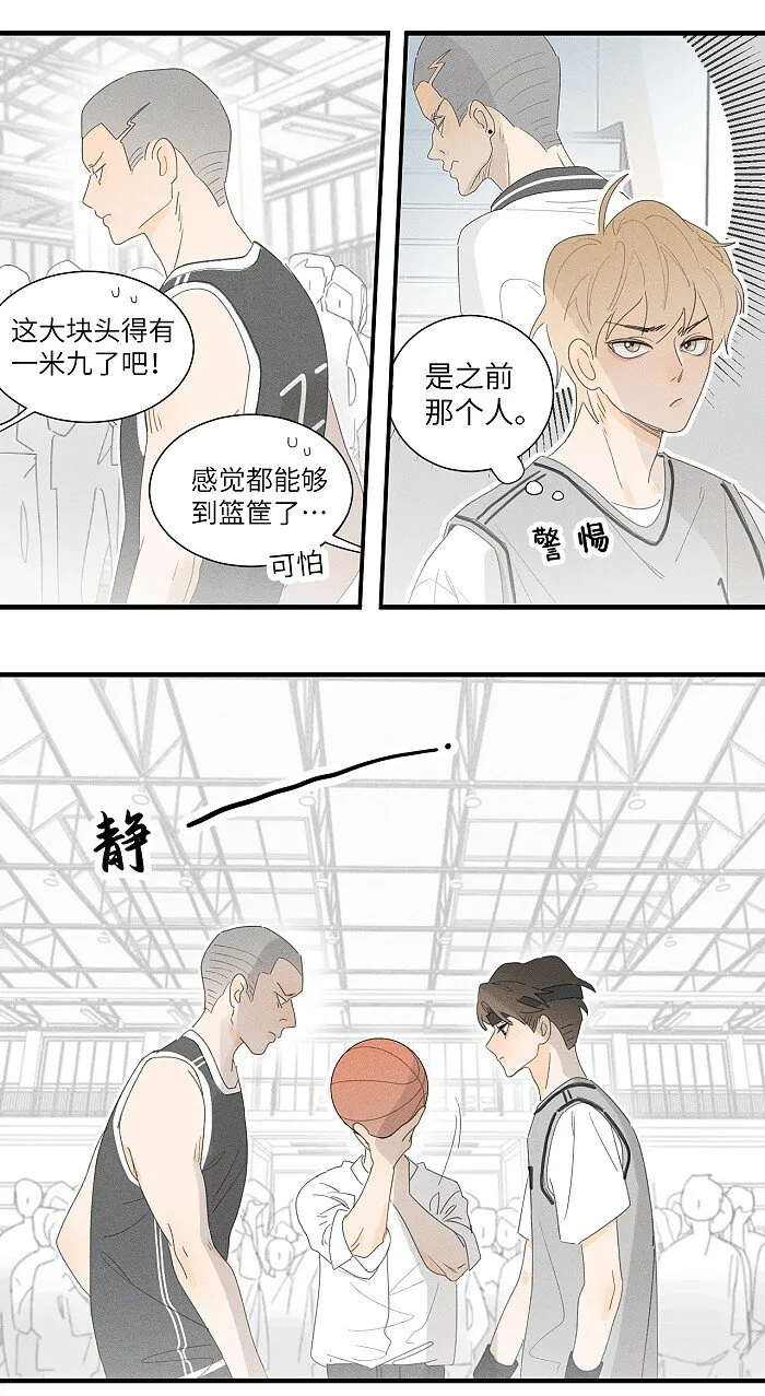 36 篮球赛 第13页