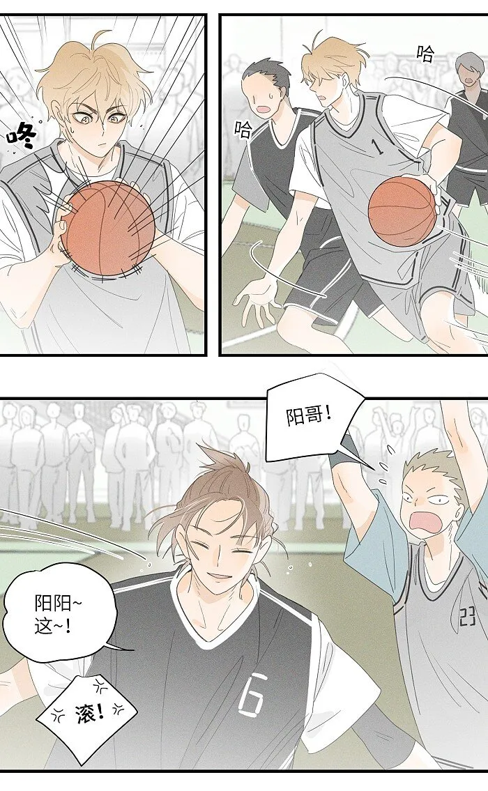 36 篮球赛 第16页