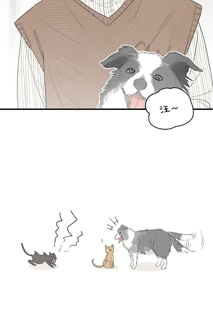 32 校草争霸赛！ 第10页