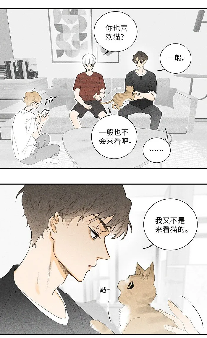 29 奇怪的误会又增加了 第4页