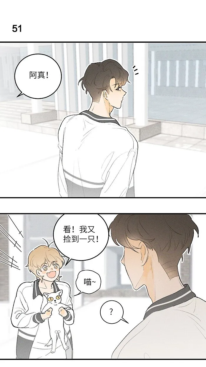24 领养 第3页