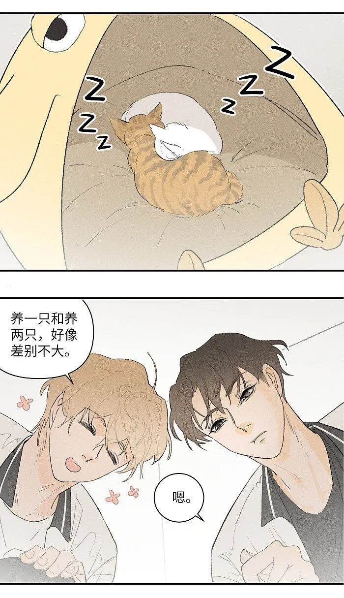 24 领养 第4页