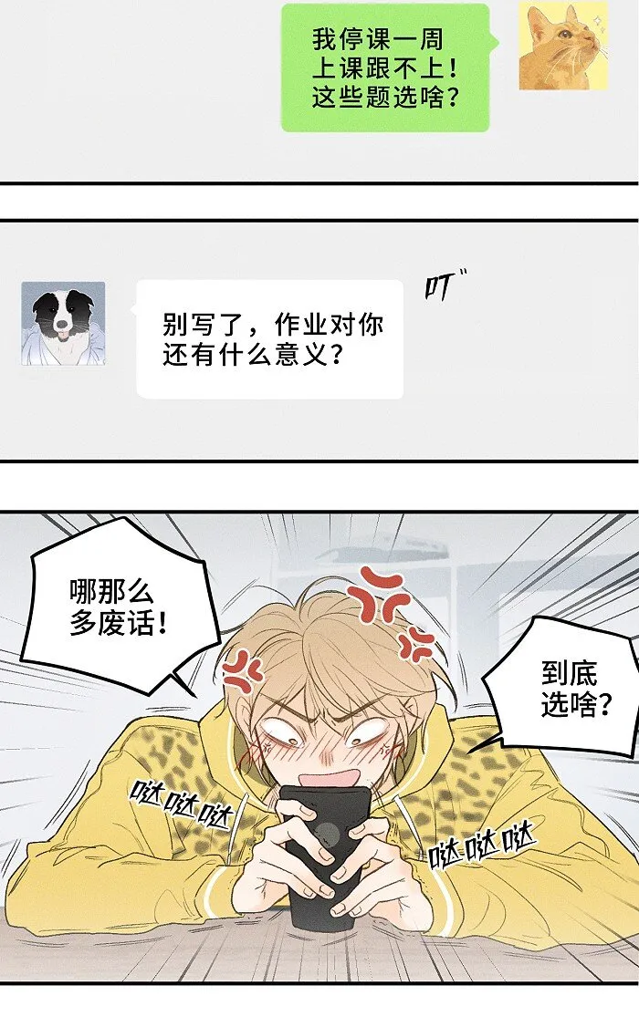 03 凭实力垫底 第12页