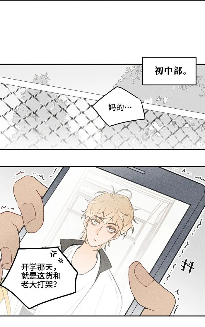 11 情书 第12页
