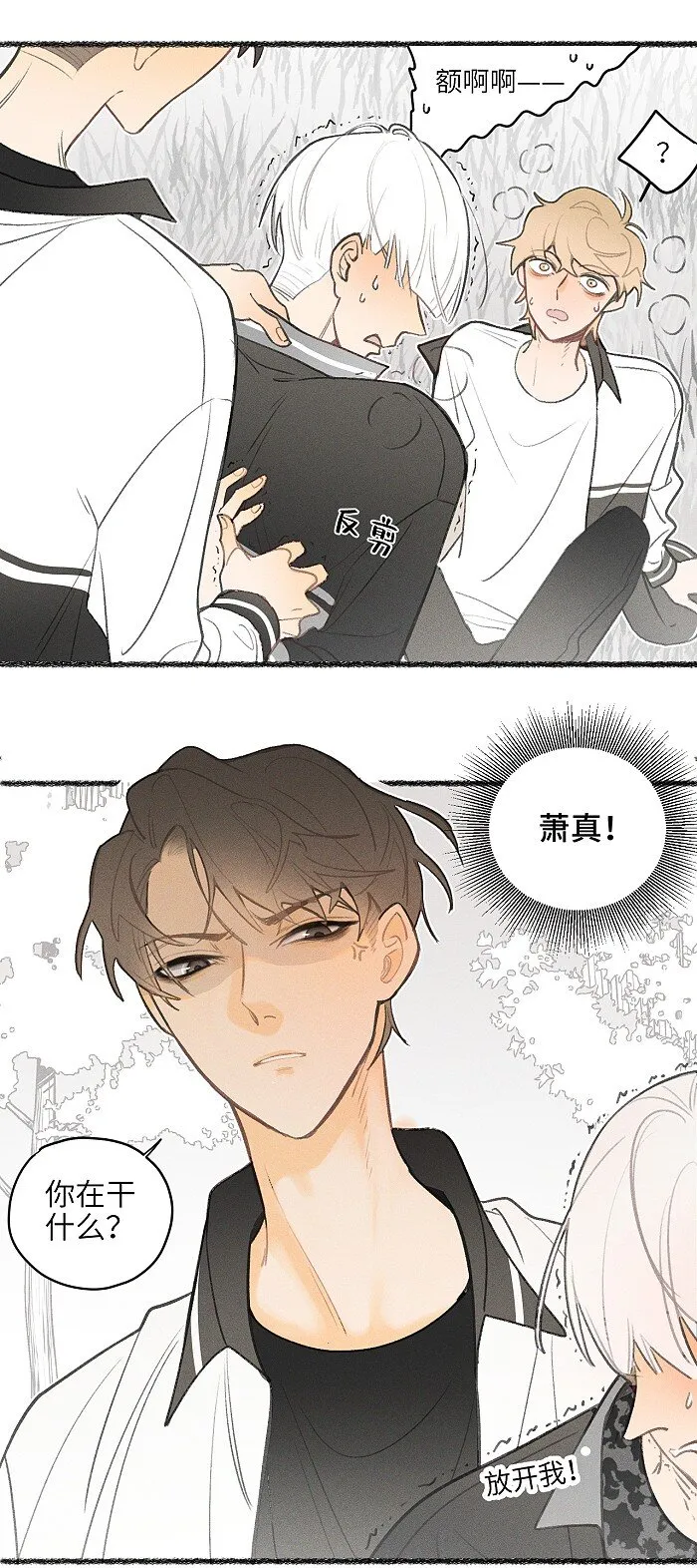12 你们是兄弟？！ 第11页