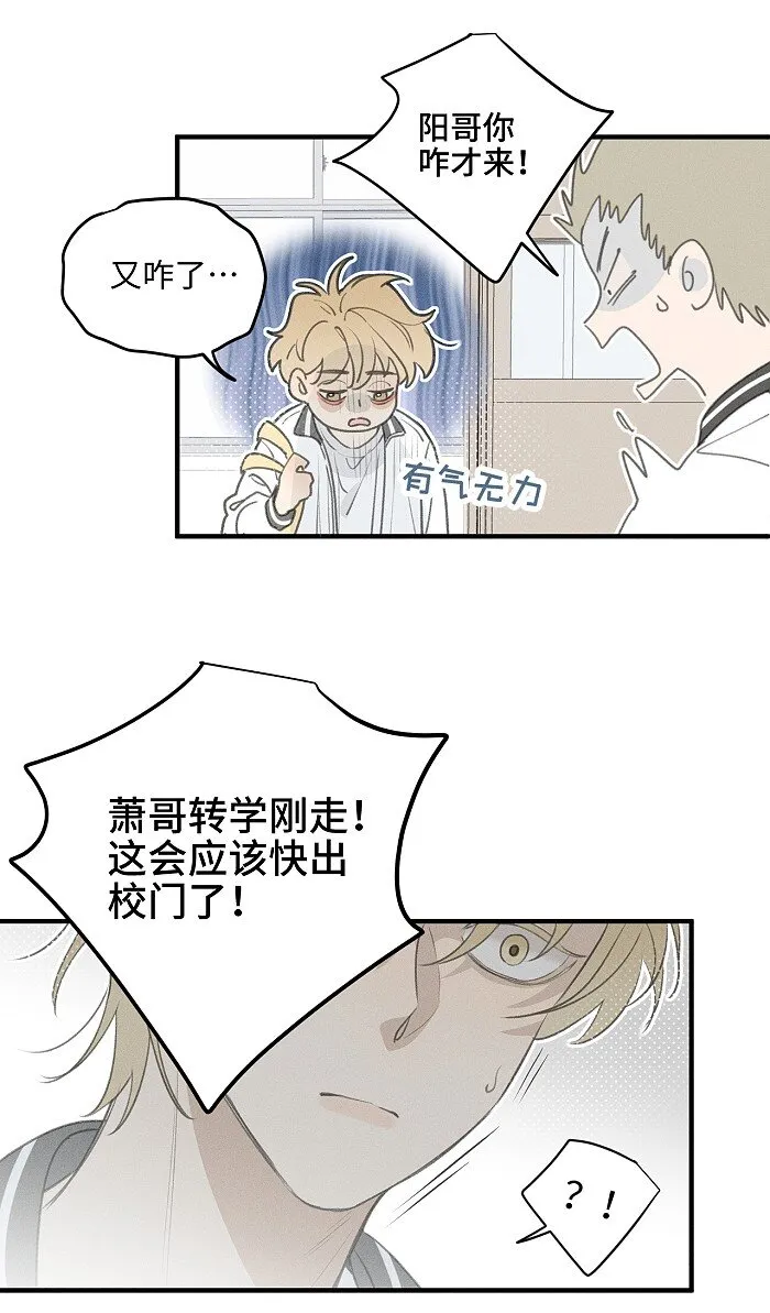 50 以后别哭了。 第4页