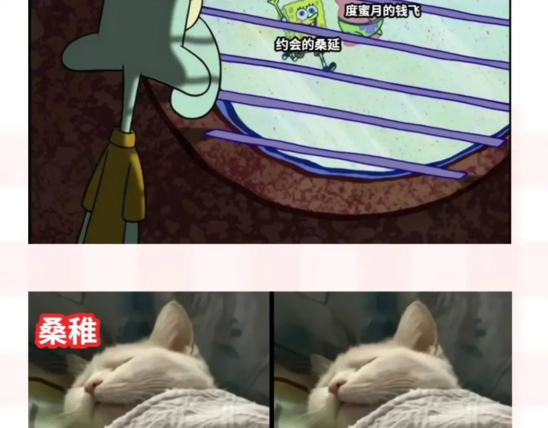 第37期 梗图第二期来噜 第6页