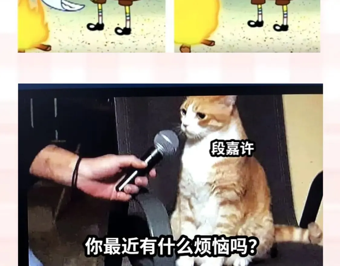 第37期 梗图第二期来噜 第9页