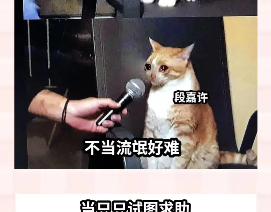 第37期 梗图第二期来噜 第10页