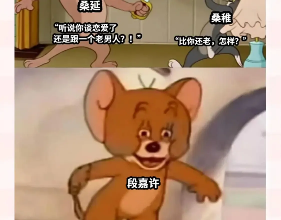 第37期 梗图第二期来噜 第12页