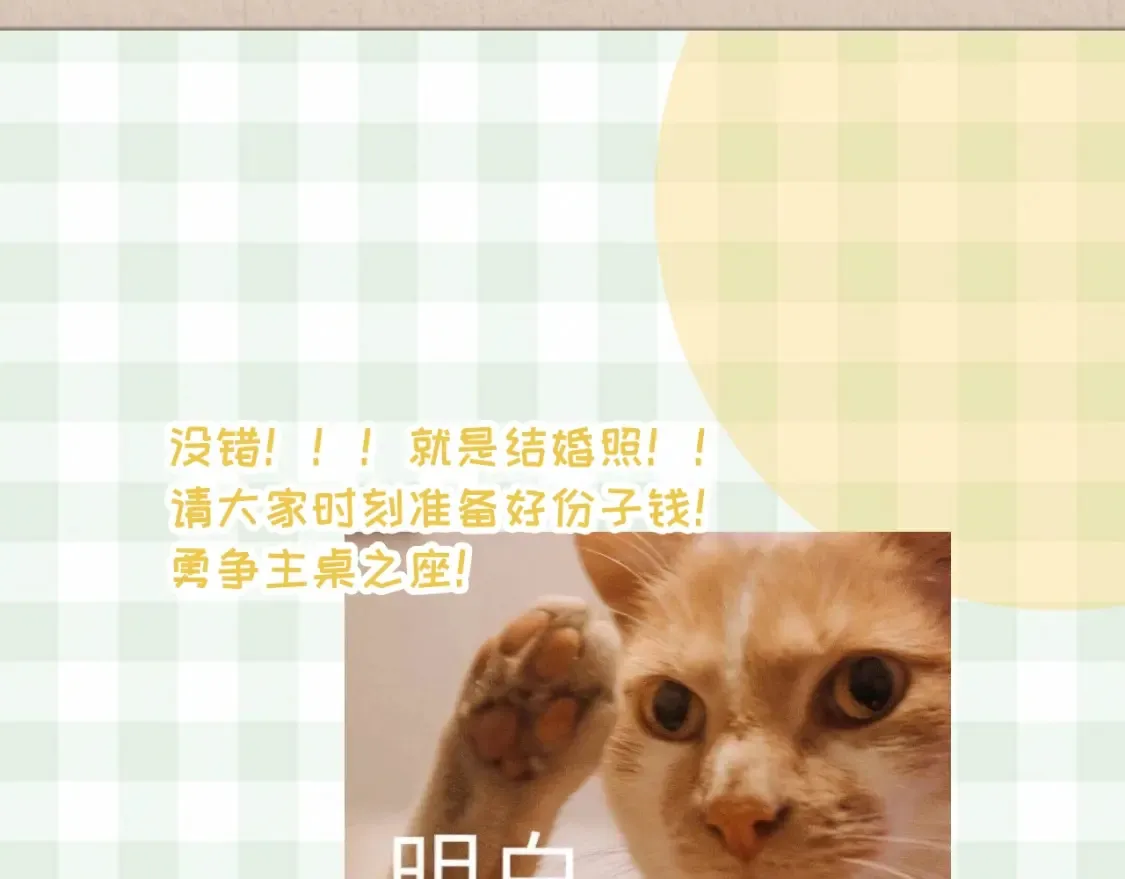 第33期 漫画角色证件一览！ 第18页