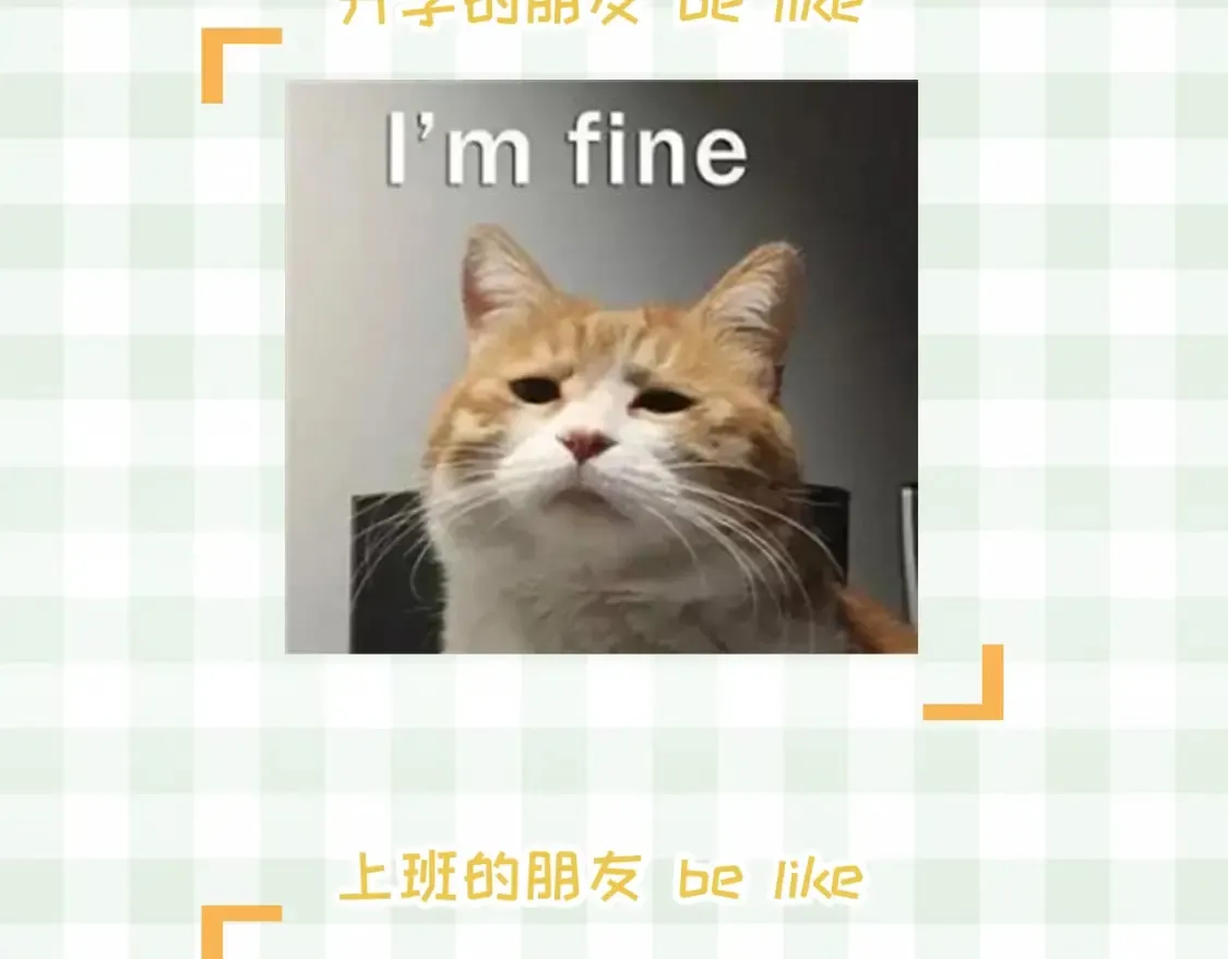 第48期 8月整活总结 第4页