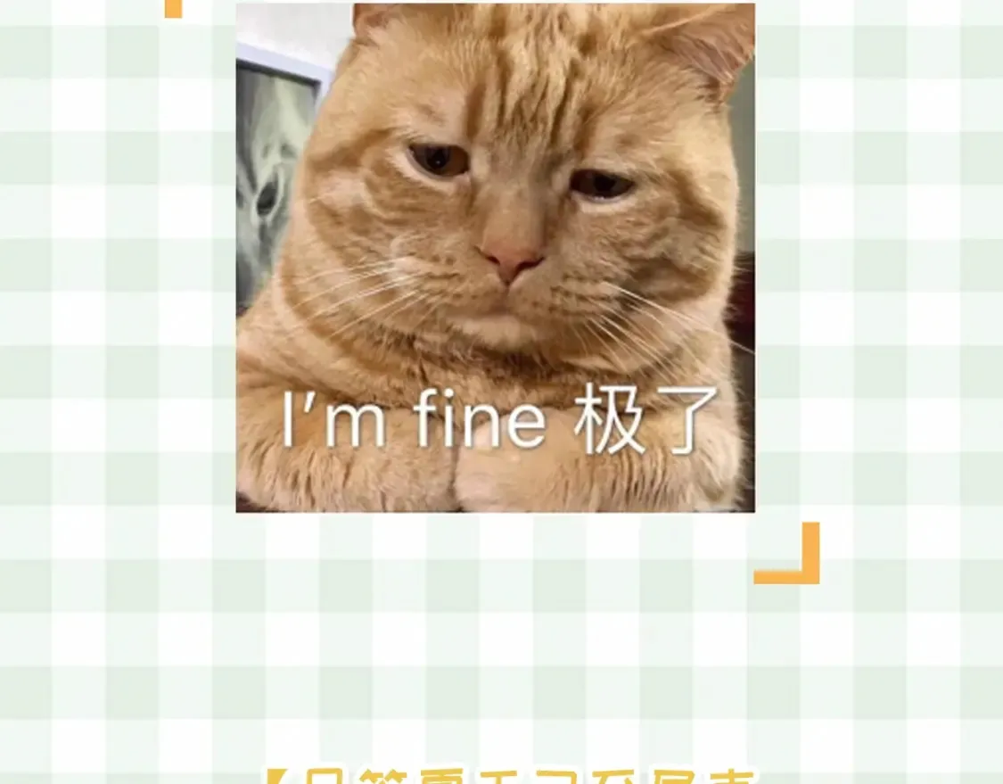 第48期 8月整活总结 第5页