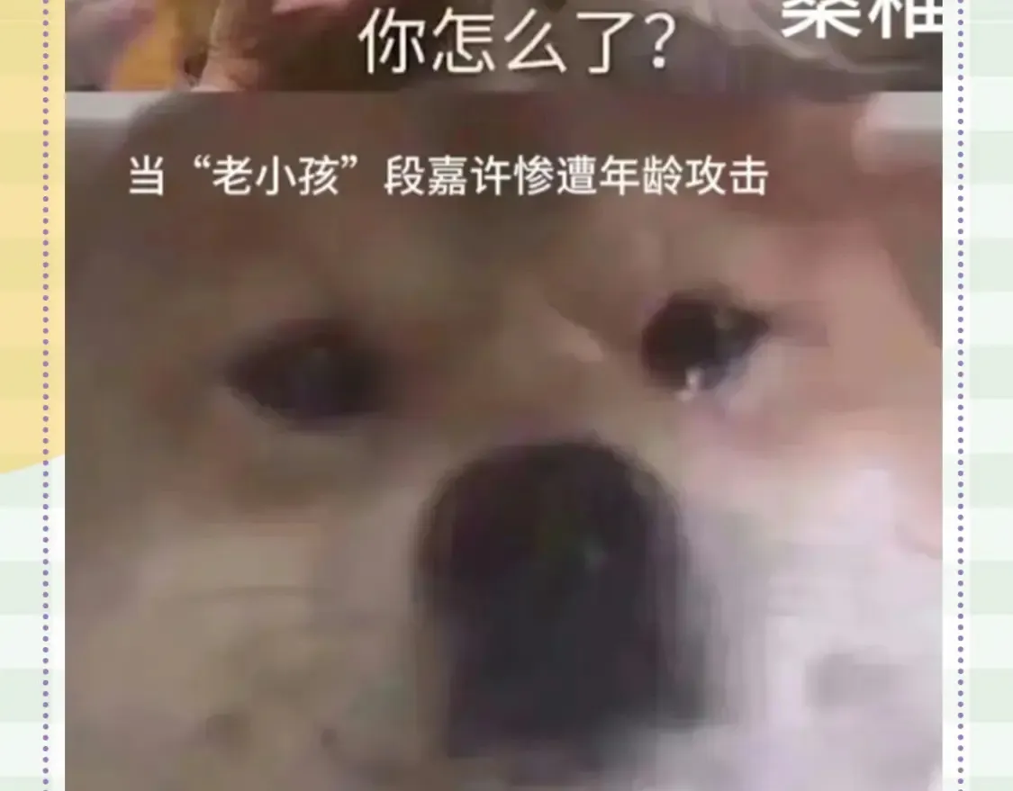 第48期 8月整活总结 第19页
