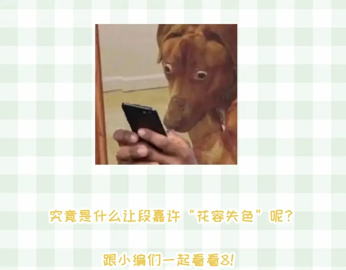 第45期 搞点事－抓拍段嘉许大眼瞬间！ 第8页